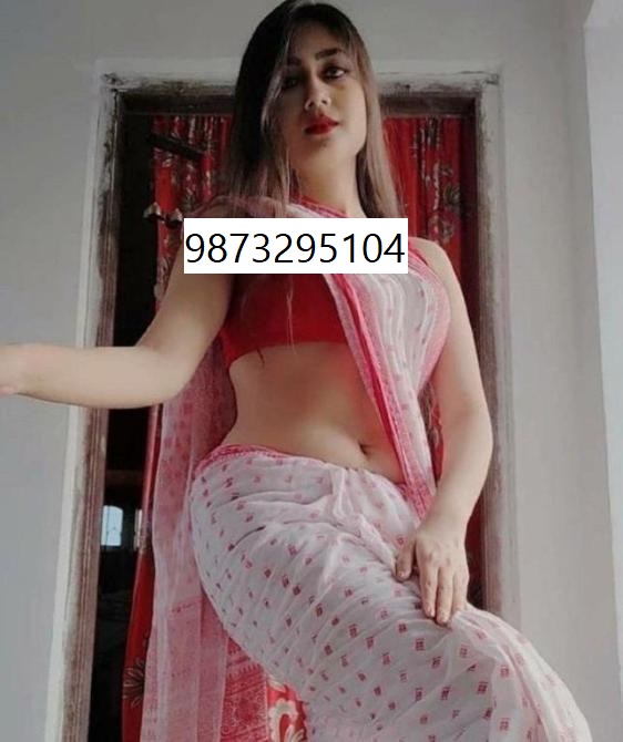call girls In Rama Krishna Puram  Delhi 9873295104 call girl Service